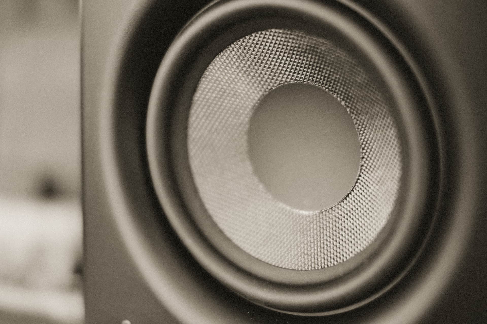 A bookshelf loudspeaker driver and tweeter in warm directional light